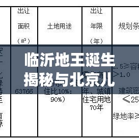 临沂地王诞生揭秘与北京儿童教育咨询价格深度解读