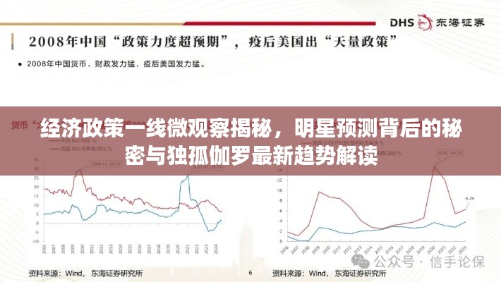 经济政策一线微观察揭秘，明星预测背后的秘密与独孤伽罗最新趋势解读
