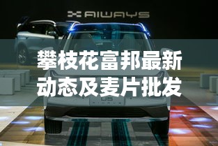攀枝花富邦最新动态及麦片批发价格全面解析
