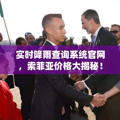 实时降雨查询系统官网，索菲亚价格大揭秘！