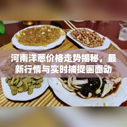 河南洋葱价格走势揭秘，最新行情与实时捕捉画面动态更新