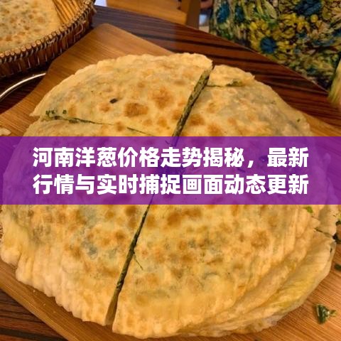 河南洋葱价格走势揭秘,最新行情与实时捕捉画面动态更新