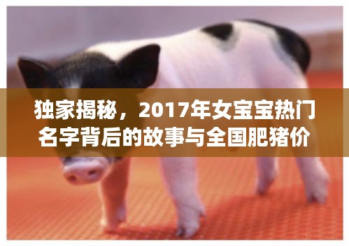 独家揭秘，2017年女宝宝热门名字背后的故事与全国肥猪价格走势解析
