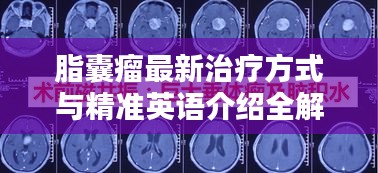 关于订购 第3页