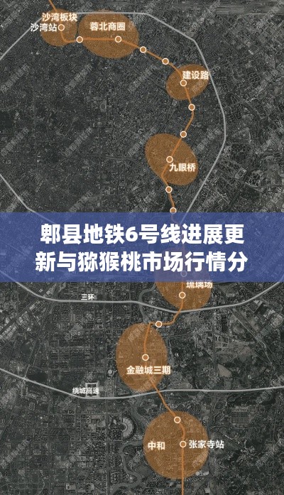 郫县地铁6号线进展更新与猕猴桃市场行情分析