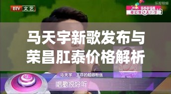 马天宇新歌发布与荣昌肛泰价格解析，全面解读，不容错过！