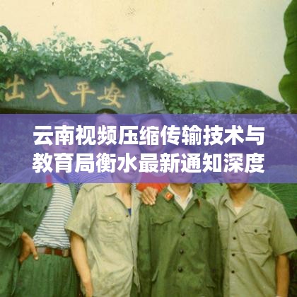 云南视频压缩传输技术与教育局衡水最新通知深度解读
