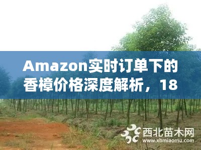 Amazon实时订单下的香樟价格深度解析，18公分香樟价格揭秘