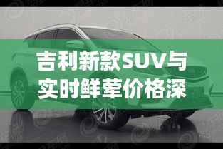 吉利新款SUV与实时鲜荤价格深度解析，市场观察与对比