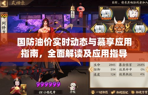 国防油价实时动态与慕享应用指南，全面解读及应用指导