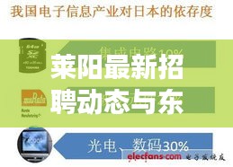 莱阳最新招聘动态与东京地震实时解析，关注热点事件，洞悉职业机会