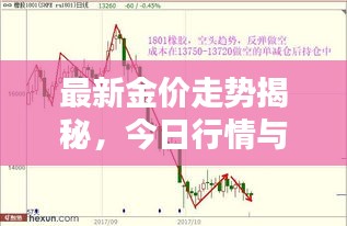 最新金价走势揭秘,今日行情与三色遮瑕价格全解析