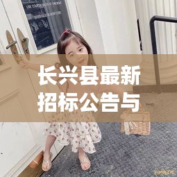 长兴县最新招标公告与淘宝店铺实时动态，深度解析报告