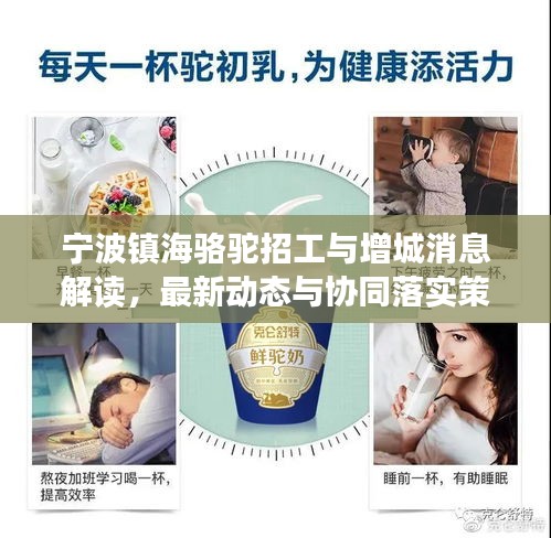 宁波镇海骆驼招工与增城消息解读，最新动态与协同落实策略