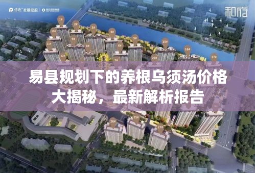 易县规划下的养根乌须汤价格大揭秘，最新解析报告