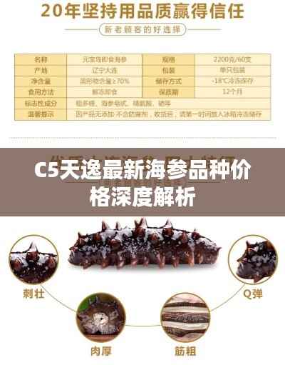 C5天逸最新海参品种价格深度解析