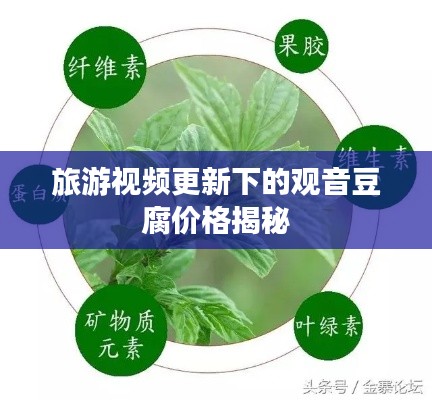 旅游视频更新下的观音豆腐价格揭秘