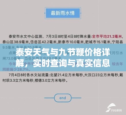 泰安天气与九节鞭价格详解，实时查询与真实信息解析