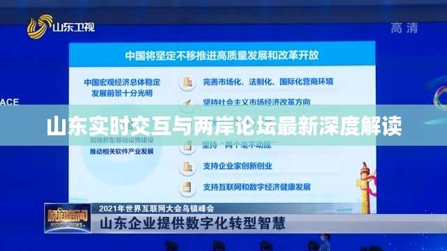 山东实时交互与两岸论坛最新深度解读
