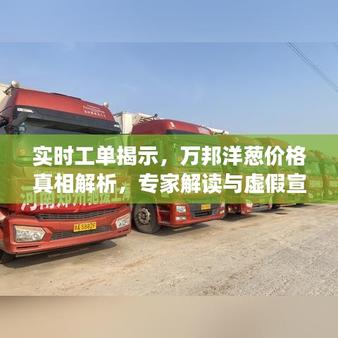 实时工单揭示，万邦洋葱价格真相解析，专家解读与虚假宣传手法大对比