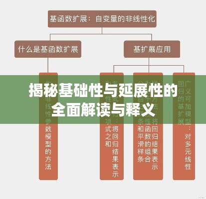 揭秘基础性与延展性的全面解读与释义