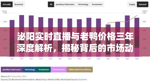 泌阳实时直播与老鸭价格三年深度解析，揭秘背后的市场动态与价值趋势