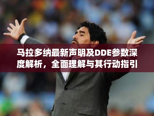 马拉多纳最新声明及DDE参数深度解析，全面理解与其行动指引