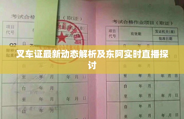 叉车证最新动态解析及东阿实时直播探讨