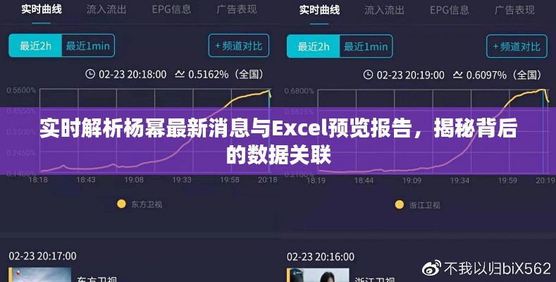 实时解析杨幂最新消息与Excel预览报告，揭秘背后的数据关联