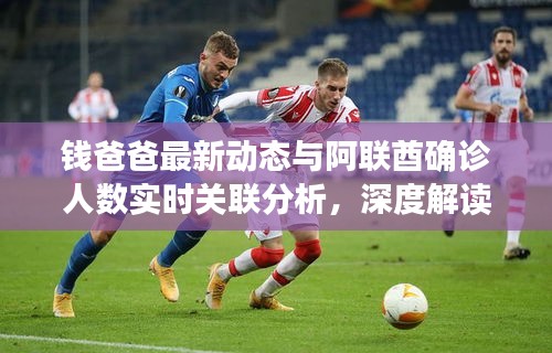 钱爸爸最新动态与阿联酋确诊人数实时关联分析，深度解读背后的数据联系