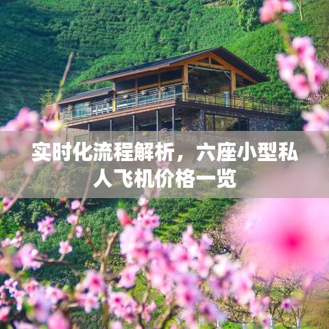 实时化流程解析，六座小型私人飞机价格一览