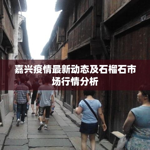 嘉兴疫情最新动态及石榴石市场行情分析