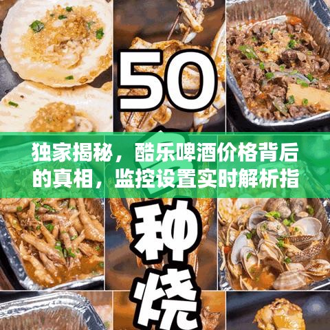 独家揭秘，酷乐啤酒价格背后的真相，监控设置实时解析指南！