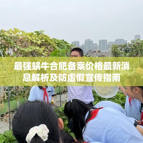 最强蜗牛合肥备案价格最新消息解析及防虚假宣传指南
