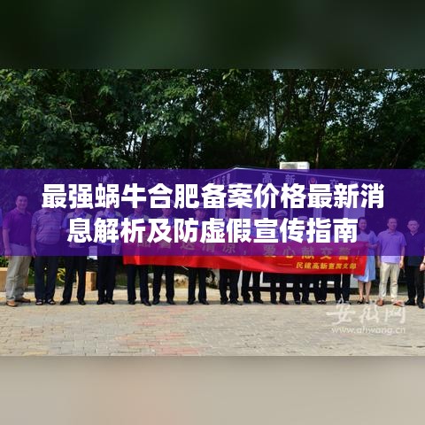 最强蜗牛合肥备案价格最新消息解析及防虚假宣传指南