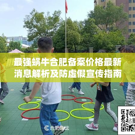最强蜗牛合肥备案价格最新消息解析及防虚假宣传指南