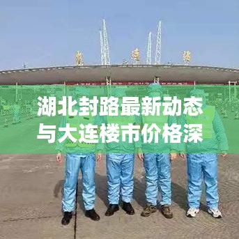 湖北封路最新动态与大连楼市价格深度解读