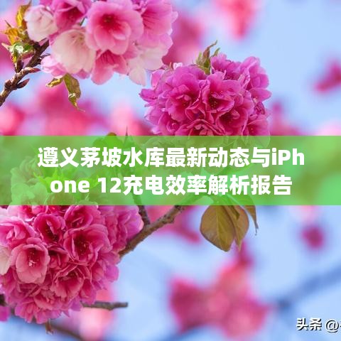 遵义茅坡水库最新动态与iPhone 12充电效率解析报告