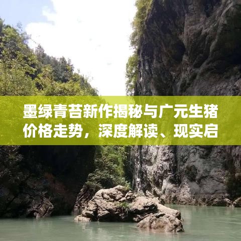 墨绿青苔新作揭秘与广元生猪价格走势，深度解读、现实启示与警示信号