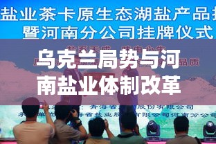 乌克兰局势与河南盐业体制改革最新动态深度解析
