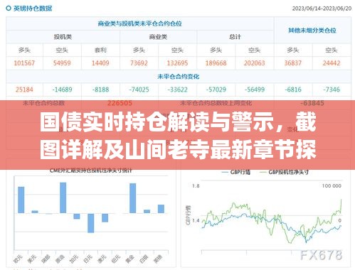 国债实时持仓解读与警示,截图详解及山间老寺最新章节探讨