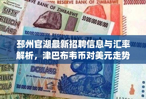 邳州官湖最新招聘信息与汇率解析，津巴布韦币对美元走势一网打尽