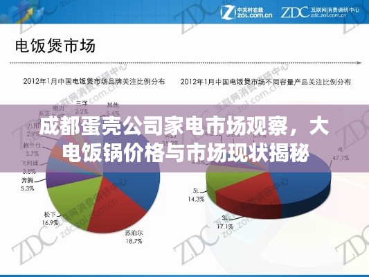 成都蛋壳公司家电市场观察，大电饭锅价格与市场现状揭秘