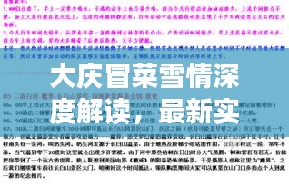 大庆冒菜雪情深度解读，最新实时状况与警示分析