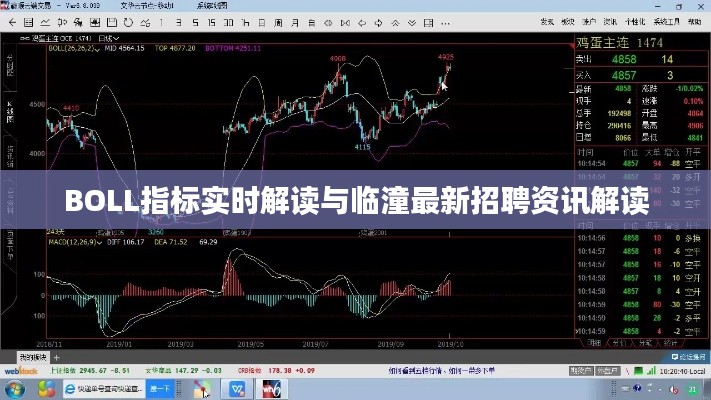 BOLL指标实时解读与临潼最新招聘资讯解读