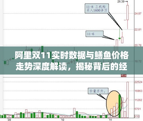 阿里双11实时数据与鳝鱼价格走势深度解读，揭秘背后的经济脉络