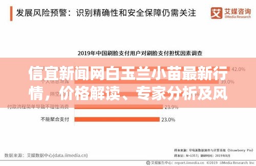 信宜新闻网白玉兰小苗最新行情，价格解读、专家分析及风险预警提示
