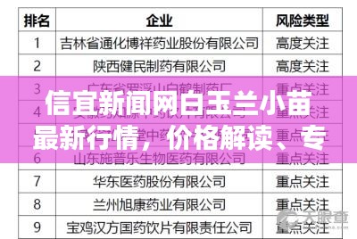 信宜新闻网白玉兰小苗最新行情,价格解读、专家分析及风险预警提示