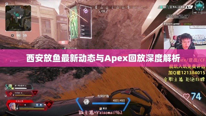 西安放鱼最新动态与Apex回放深度解析