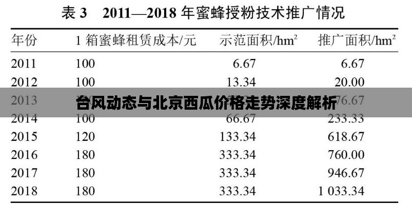 台风动态与北京西瓜价格走势深度解析